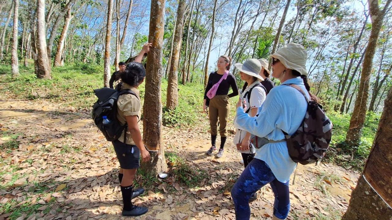 Batu Kapal Guest House & Jungle Trekking Букит-Лаванг Экстерьер фото