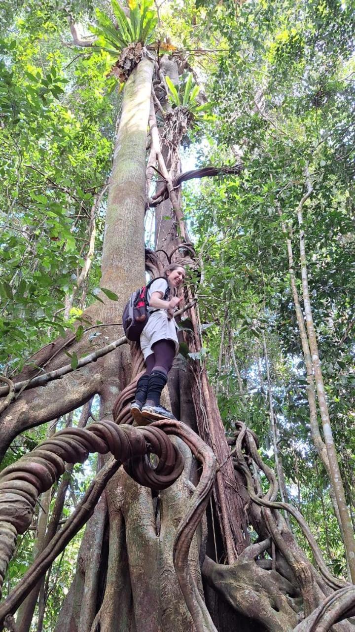 Batu Kapal Guest House & Jungle Trekking Букит-Лаванг Экстерьер фото
