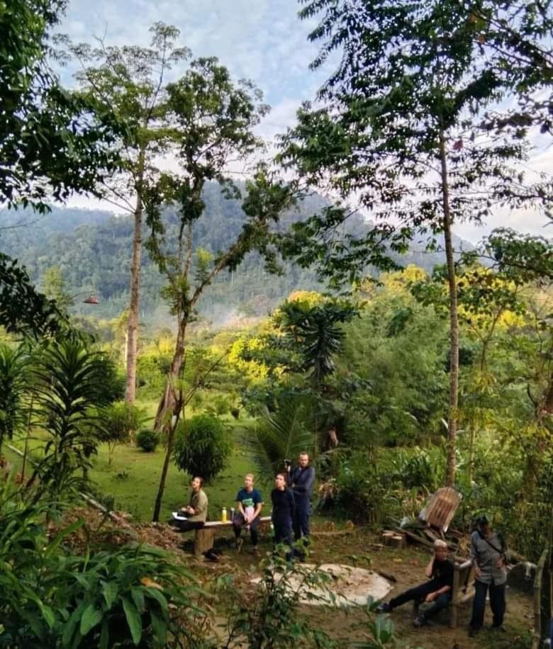 Batu Kapal Guest House & Jungle Trekking Букит-Лаванг Экстерьер фото