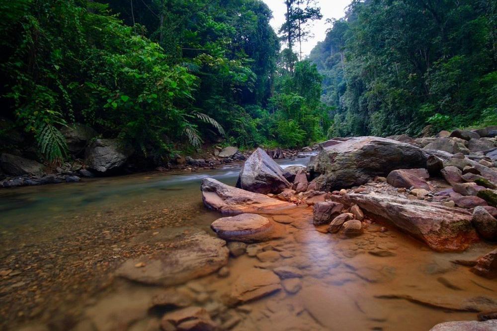 Batu Kapal Guest House & Jungle Trekking Букит-Лаванг Экстерьер фото