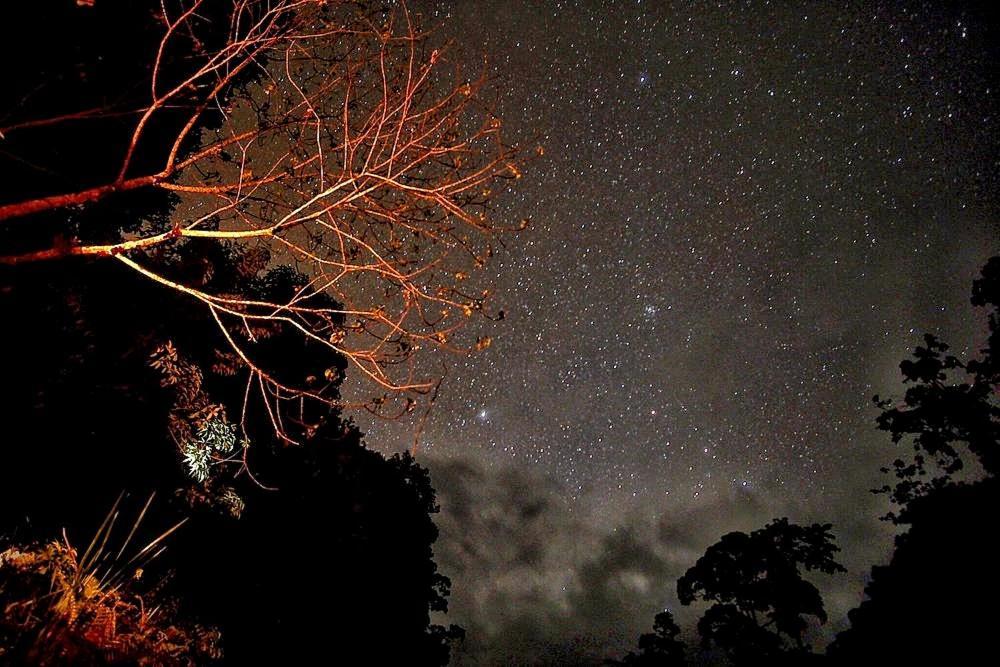 Batu Kapal Guest House & Jungle Trekking Букит-Лаванг Экстерьер фото