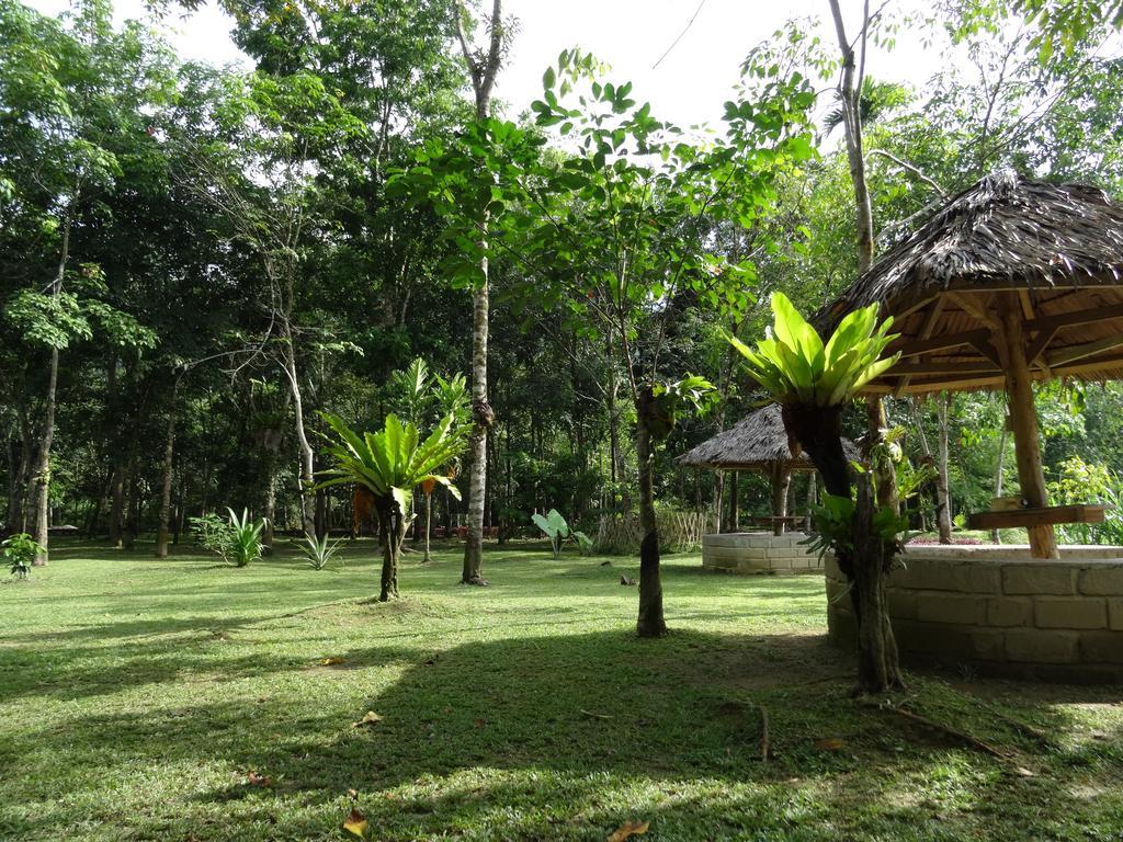 Batu Kapal Guest House & Jungle Trekking Букит-Лаванг Экстерьер фото