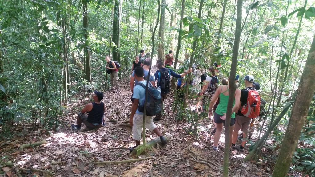 Batu Kapal Guest House & Jungle Trekking Букит-Лаванг Экстерьер фото