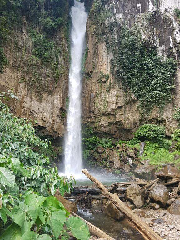 Batu Kapal Guest House & Jungle Trekking Букит-Лаванг Экстерьер фото